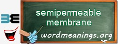 WordMeaning blackboard for semipermeable membrane